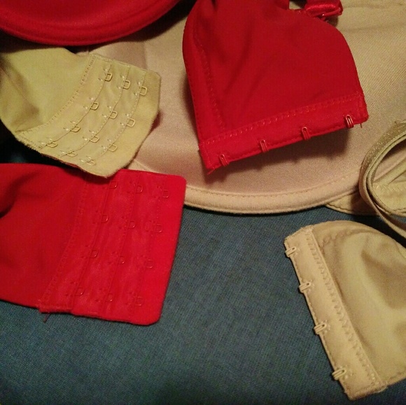 Plus-sized padded bras - Picture 3 of 3